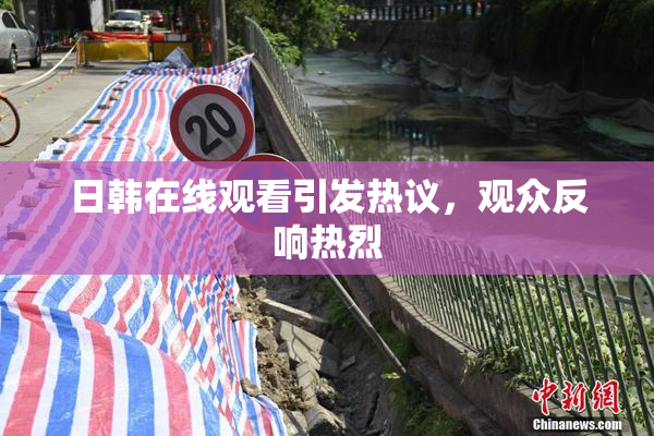 日韩在线观看引发热议，观众反响热烈