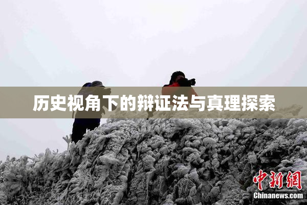 历史视角下的辩证法与真理探索