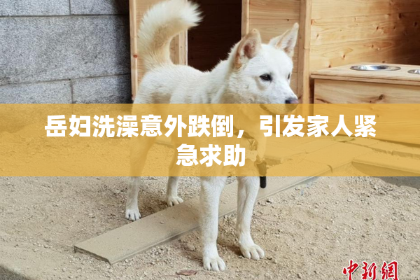 岳妇洗澡意外跌倒，引发家人紧急求助
