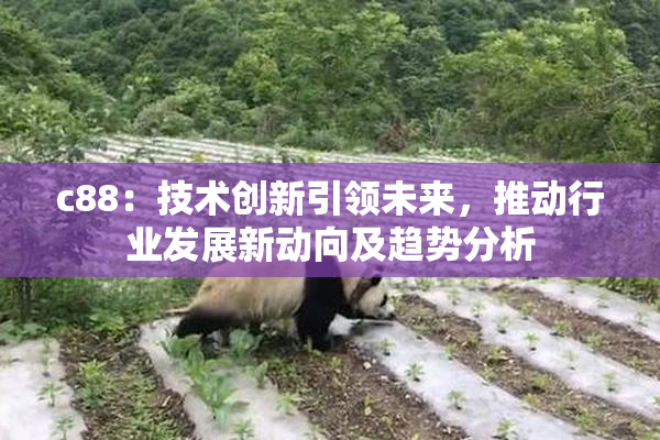 c88：技术创新引领未来，推动行业发展新动向及趋势分析