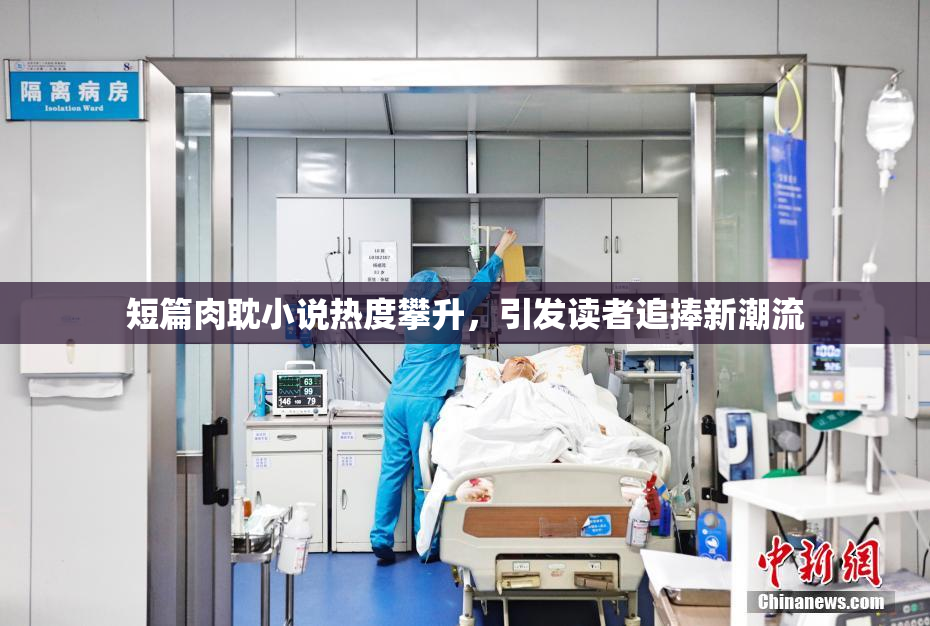短篇肉耽小说热度攀升，引发读者追捧新潮流