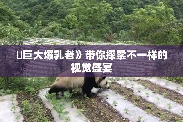 巜巨大爆乳老》带你探索不一样的视觉盛宴