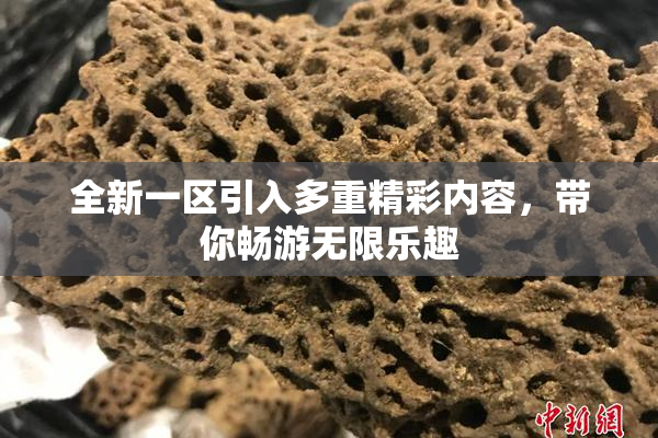 全新一区引入多重精彩内容，带你畅游无限乐趣