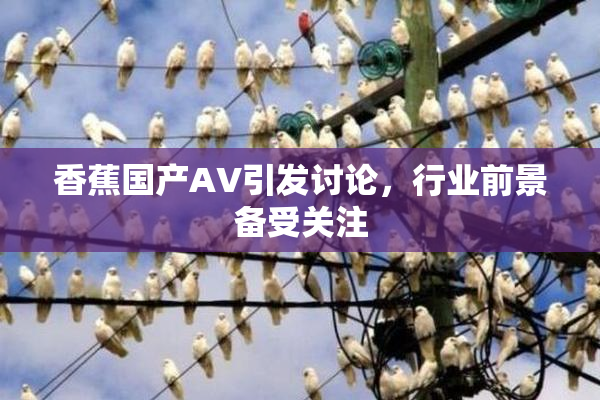 香蕉国产AV引发讨论，行业前景备受关注