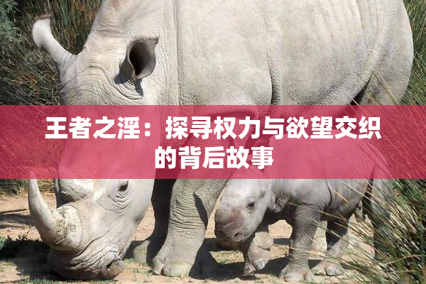 王者之淫：探寻权力与欲望交织的背后故事