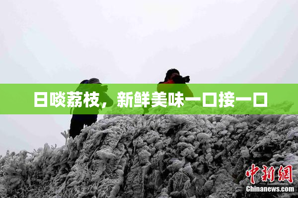 日啖荔枝，新鲜美味一口接一口
