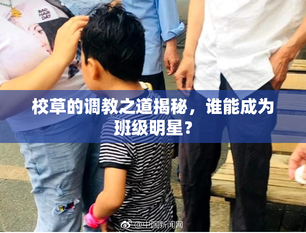 校草的调教之道揭秘，谁能成为班级明星？