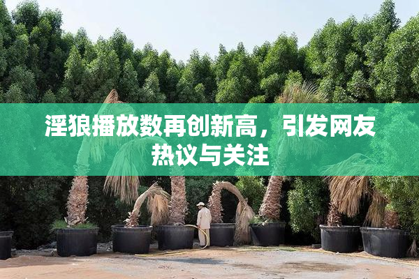 淫狼播放数再创新高，引发网友热议与关注