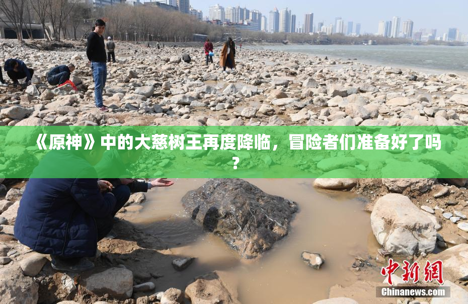《原神》中的大慈树王再度降临，冒险者们准备好了吗？