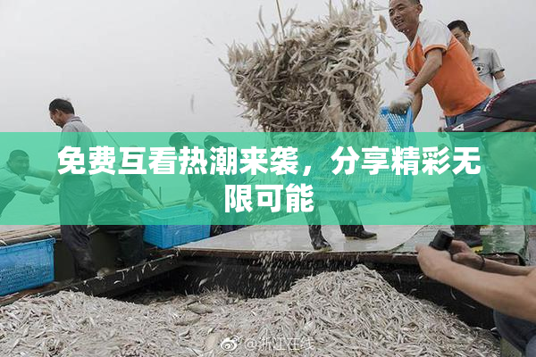 免费互看热潮来袭，分享精彩无限可能