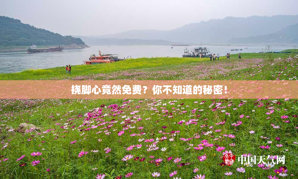 挠脚心竟然免费？你不知道的秘密！