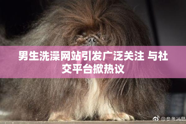 男生洗澡网站引发广泛关注 与社交平台掀热议