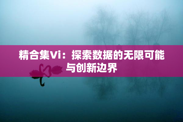 精合集Vi：探索数据的无限可能与创新边界