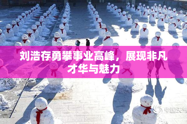 刘浩存勇攀事业高峰，展现非凡才华与魅力