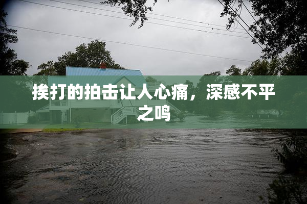 挨打的拍击让人心痛，深感不平之鸣
