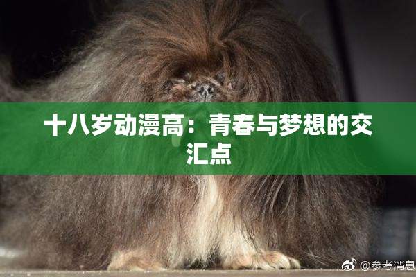 十八岁动漫高：青春与梦想的交汇点