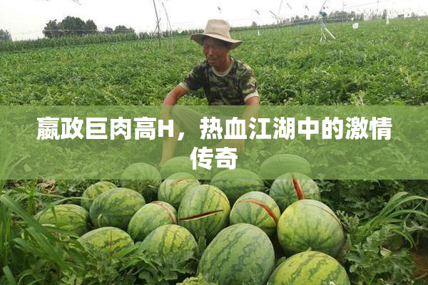 嬴政巨肉高H，热血江湖中的激情传奇