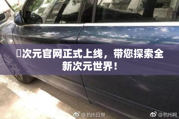 囧次元官网正式上线，带您探索全新次元世界！