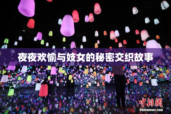 夜夜欢愉与妓女的秘密交织故事