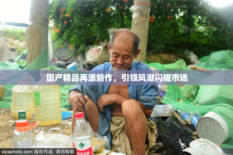 国产精品再添新作，引领风潮闪耀市场