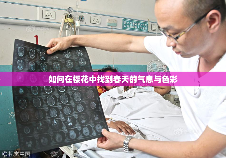 如何在樱花中找到春天的气息与色彩