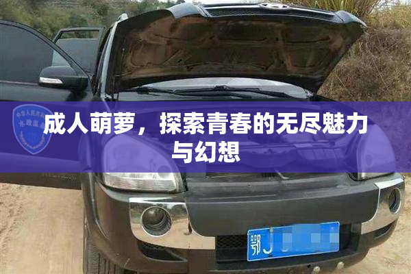 成人萌萝，探索青春的无尽魅力与幻想