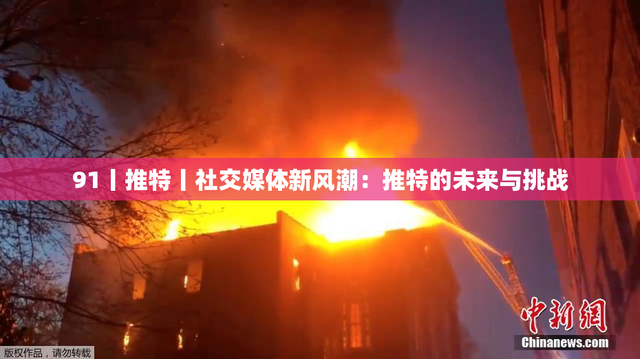 91丨推特丨社交媒体新风潮：推特的未来与挑战