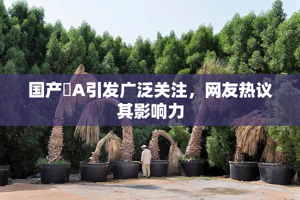 国产婬A引发广泛关注，网友热议其影响力