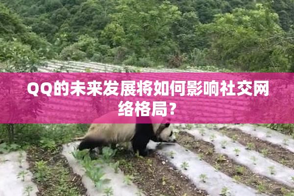 QQ的未来发展将如何影响社交网络格局？