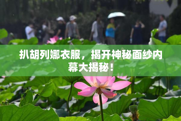扒胡列娜衣服，揭开神秘面纱内幕大揭秘！