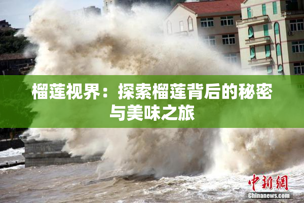 榴莲视界：探索榴莲背后的秘密与美味之旅
