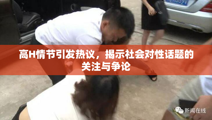 高H情节引发热议，揭示社会对性话题的关注与争论