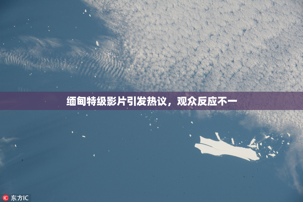 缅甸特级影片引发热议，观众反应不一