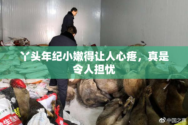 丫头年纪小嫩得让人心疼，真是令人担忧