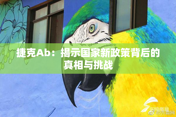 捷克Ab：揭示国家新政策背后的真相与挑战