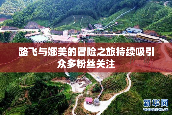 路飞与娜美的冒险之旅持续吸引众多粉丝关注