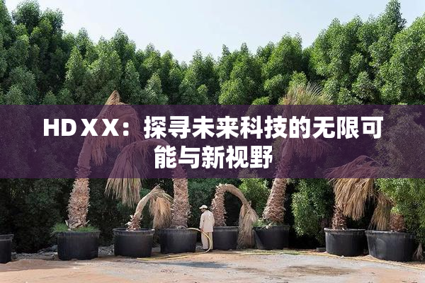 HDⅩX：探寻未来科技的无限可能与新视野