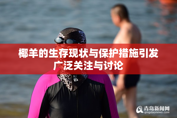 椰羊的生存现状与保护措施引发广泛关注与讨论