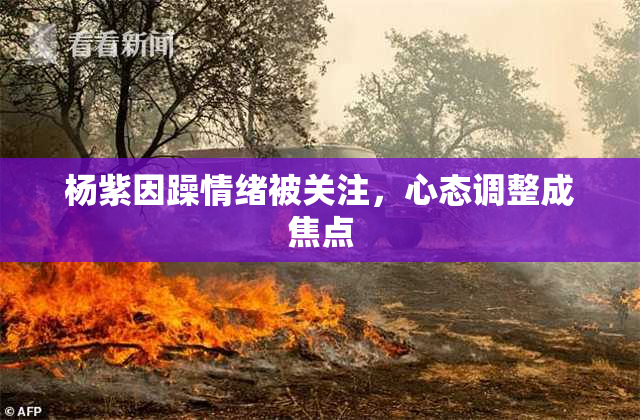 杨紫因躁情绪被关注，心态调整成焦点