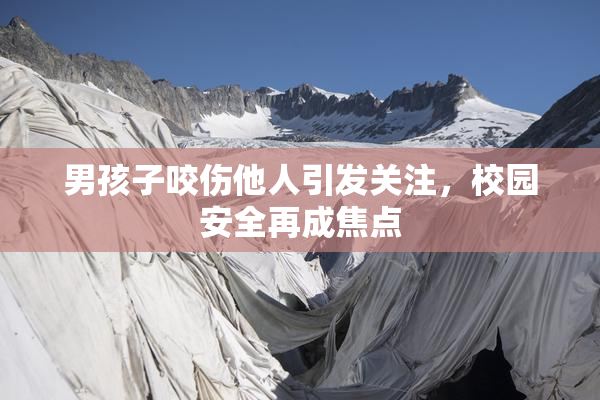 男孩子咬伤他人引发关注，校园安全再成焦点
