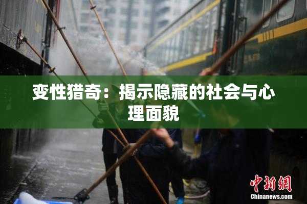 变性猎奇：揭示隐藏的社会与心理面貌