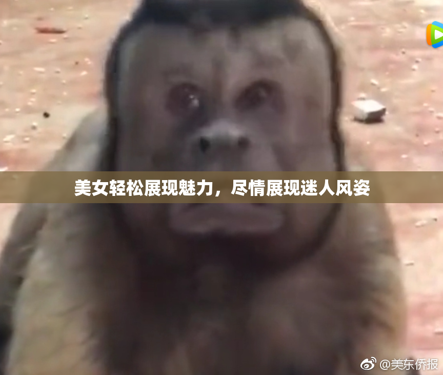 美女轻松展现魅力，尽情展现迷人风姿