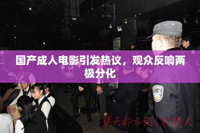 国产成人电影引发热议，观众反响两极分化