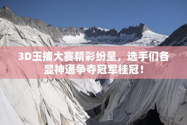 3D玉捕大赛精彩纷呈，选手们各显神通争夺冠军桂冠！