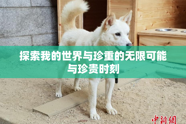 探索我的世界与珍重的无限可能与珍贵时刻