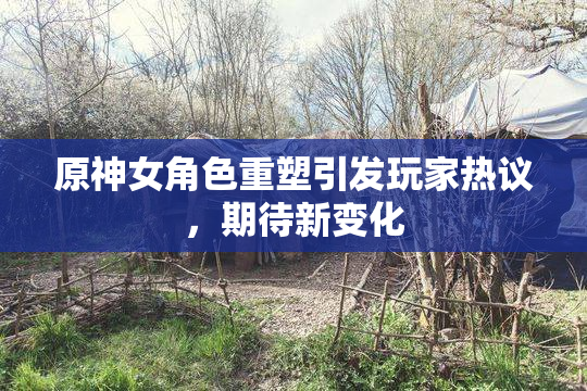 原神女角色重塑引发玩家热议，期待新变化