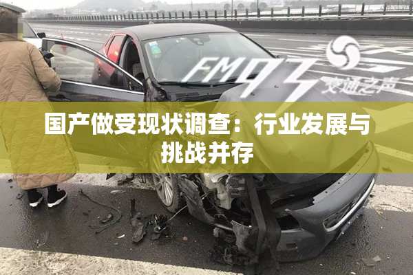 国产做受现状调查：行业发展与挑战并存