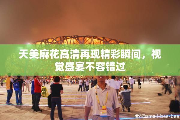 天美麻花高清再现精彩瞬间，视觉盛宴不容错过