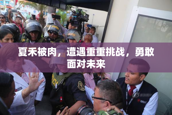 夏禾被肉，遭遇重重挑战，勇敢面对未来