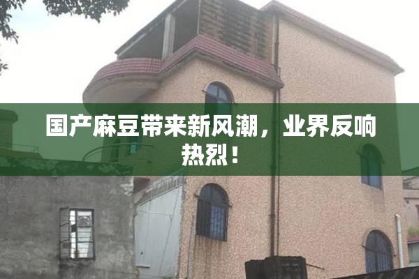 国产麻豆带来新风潮，业界反响热烈！